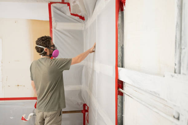 Best Crawl Space Mold Remediation  in Laconia, NH
