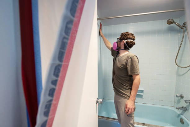 Best Basement Mold Removal  in Laconia, NH