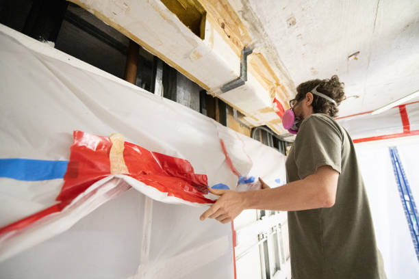  Laconia, NH Mold Removal Pros