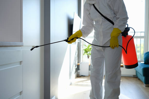 Best Dehumidification Services  in Laconia, NH