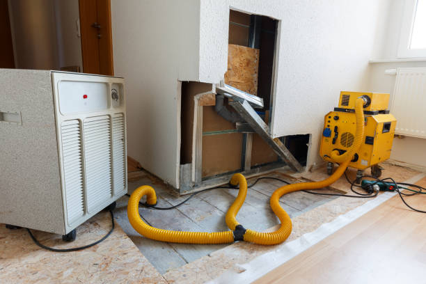 Best HVAC Mold Inspection and Cleaning  in Laconia, NH
