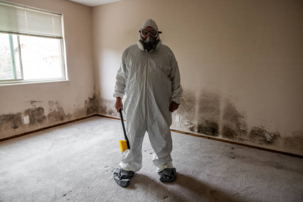 Asbestos and Lead Testing During Mold Inspection in Laconia, NH